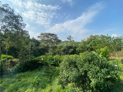Casa de 3 alcobas en venta en Vereda Palermo, Manizales, 150 m² · foto 17 de 19