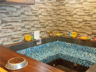 Casa de 3 alcobas en venta en La Cumbre, Manizales, 130 m² · foto 10 de 19