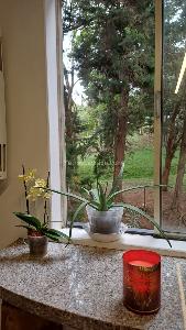 Apartamento de 3 alcobas en venta en Poblado San Lucas, Medellín, 108 m² · foto 16 de 20
