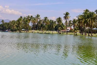 Casa de 4 alcobas en venta en Girardot, Girardot, 200 m² · foto 5 de 19