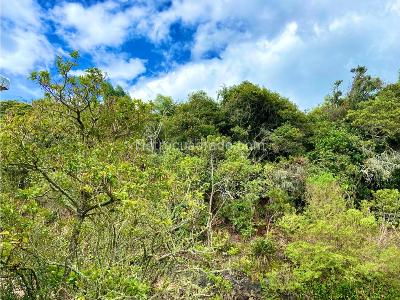 Casa de 3 alcobas en venta en Bosques De Torca, Bogotá, 370 m² · foto 13 de 20
