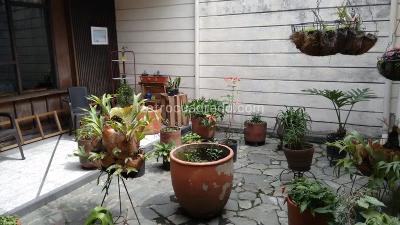 Casa de 5 alcobas en venta en Prado Centro, Medellín, 384 m² · foto 12 de 16