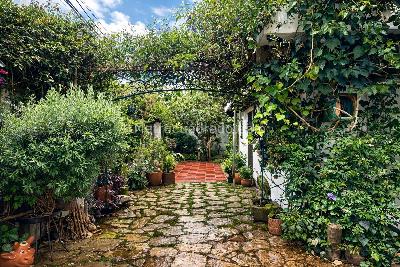 Casa de 4 alcobas en venta en Los Cedros, Bogotá, 250 m² · foto 15 de 20