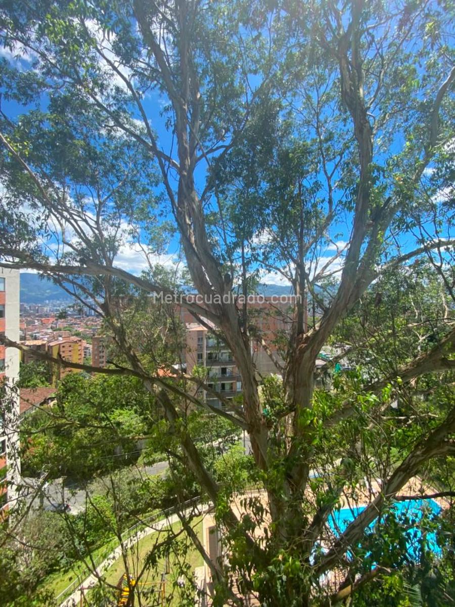 Foto del apartamento