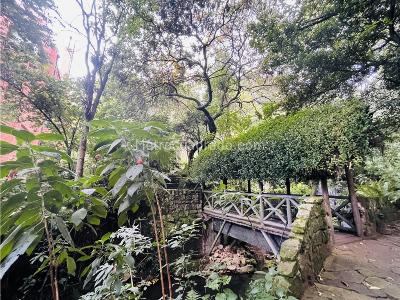 Apartamento en venta en Chico Oriental, Bogotá · foto 14 de 16