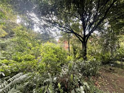 Apartamento en venta en Chico Oriental, Bogotá · foto 15 de 16