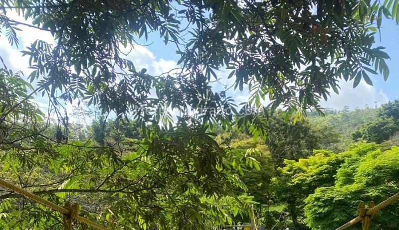 Lote en Venta, LA BUITRERA, Cali - Vista 3