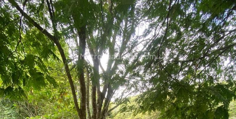 Lote en Venta, LA BUITRERA, Cali - Vista 2