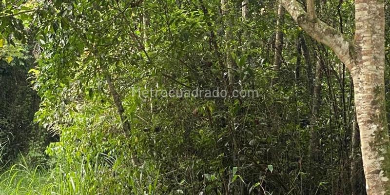 Lote en Venta, LA BUITRERA, Cali - Vista 4
