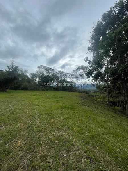 Lote en Venta, Vereda Del Palmar, Dagua - Vista 4