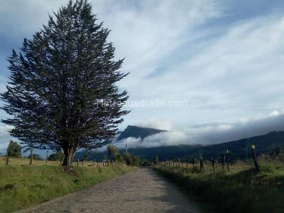 Casa en venta en Vereda Quisquiza La Calera, La Calera · foto 13 de 20