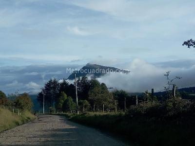 Casa en arriendo en Vereda Quisquiza La Calera, La Calera · foto 12 de 20