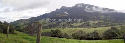 Casa en arriendo en Vereda Quisquiza La Calera, La Calera · foto 16 de 20