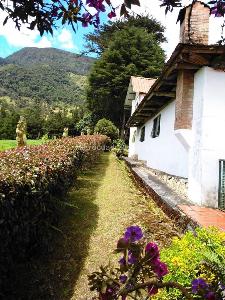 Casa en arriendo en Vereda Quisquiza La Calera, La Calera · foto 17 de 20