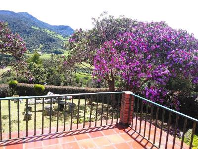 Casa en arriendo en Vereda Quisquiza La Calera, La Calera · foto 3 de 20