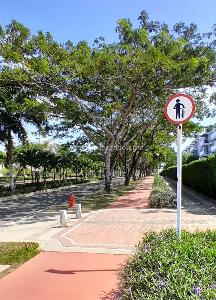 Apartamento en venta en Serena Del Mar, Cartagena · foto 18 de 20