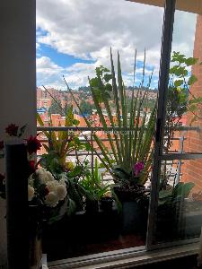 Apartamento de 3 alcobas en venta en Colina Campestre, Bogotá, 163 m² · foto 12 de 20