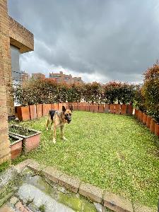 Casa de 3 alcobas en venta en Cerros Altos De Suba, Bogotá, 400 m² · foto 17 de 18