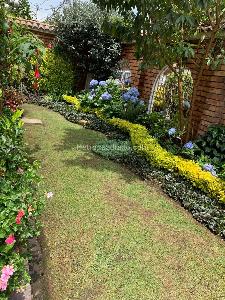 Casa de 3 alcobas en venta en Niza Norte, Bogotá, 454 m² · foto 4 de 20