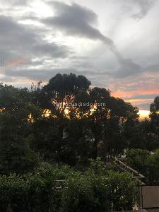 Apartamento de 4 alcobas en venta en Cerros De Santa Barbara, Bogotá, 283 m² · foto 7 de 8