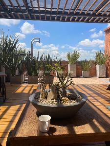 Apartamento en venta en Santa Barbara, Bogotá · foto 13 de 18