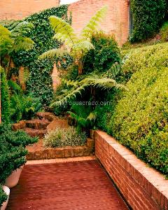Apartamento de 3 alcobas en venta en Chico Oriental, Bogotá, 500 m² · foto 20 de 20