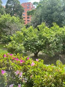 Apartamento de 3 alcobas en venta en La Cabrera, Bogotá, 382 m² · foto 11 de 12