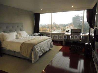 Apartamento de 4 alcobas en venta en Cabrera Chico, Bogotá, 519 m² · foto 12 de 20