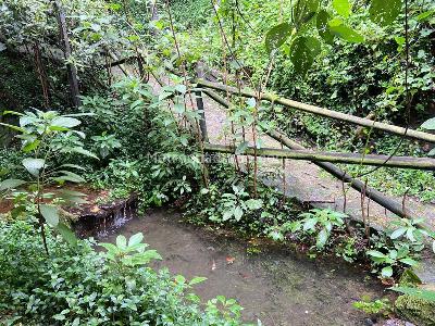 Apartamento de 3 alcobas en venta en Bosque De Pinos I, Bogotá, 224 m² · foto 19 de 20