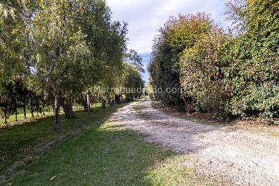 Casa de 3 alcobas en arriendo en Vereda Canelón, Cajicá, 180 m² · foto 19 de 20