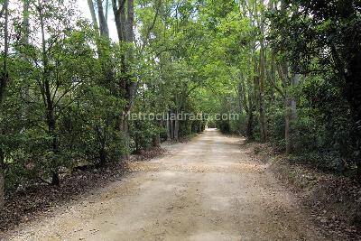 Casa de 3 alcobas en arriendo en Vereda Canelón, Cajicá, 180 m² · foto 20 de 20