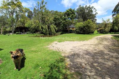 Casa de 3 alcobas en arriendo en Vereda Canelón, Cajicá, 180 m² · foto 8 de 20