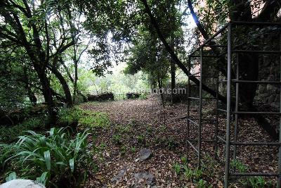 Casa de 5 alcobas en venta en Los Rosales, Bogotá, 650 m² · foto 13 de 20