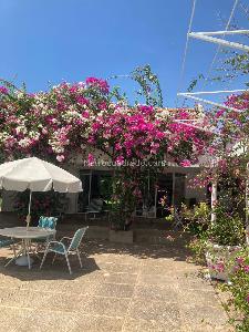 Casa de 4 alcobas en venta en Peñalisa, Girardot, 185 m² · foto 20 de 20