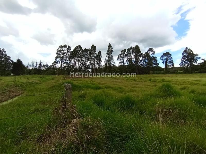 Casa – Cajicá, Canelon - Más