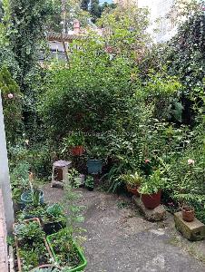 Casa de 5 alcobas en venta en La Soledad Teusaquillo, Bogotá, 800 m² · foto 7 de 20