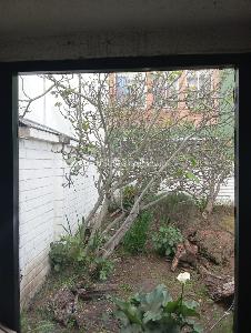 Casa de 4 alcobas en venta en El Batan, Bogotá, 150 m² · foto 13 de 20
