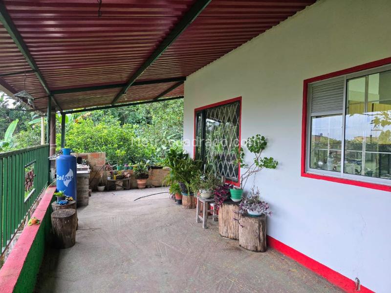 Casa – La Mesa - Más