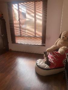 Casa de 4 alcobas en venta en Prado Pinzon, Bogotá, 130 m² · foto 12 de 20
