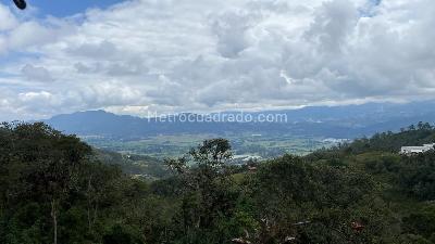 $2.500.000.000 en Torca I