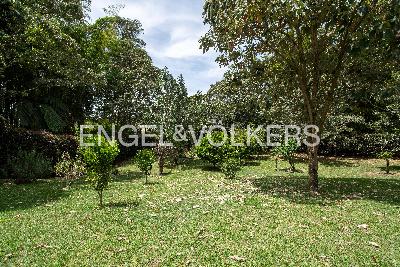 Casa de 1 alcoba en venta en El Yarumo, Medellín, 256 m² · foto 7 de 15