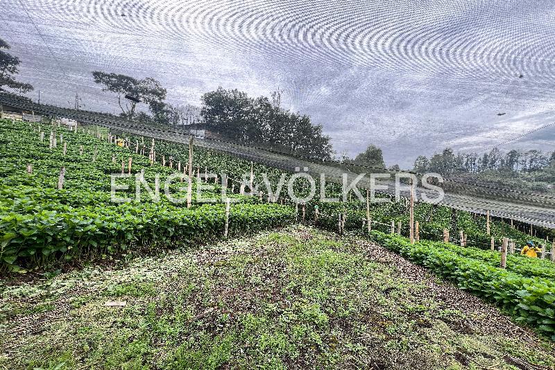 Lote en Venta, Rionegro, Rionegro - Vista 4