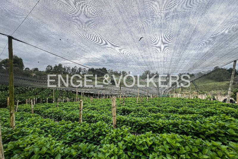 Lote en Venta, Rionegro, Rionegro - Vista 5