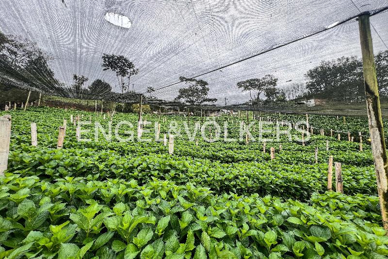 Lote en Venta, Rionegro, Rionegro - Más