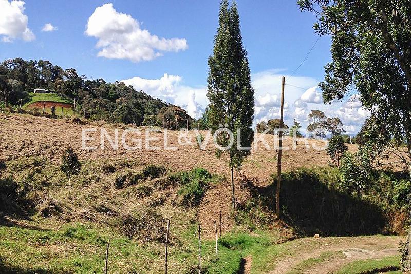 Lote en Venta, Rionegro, Rionegro - Vista 4
