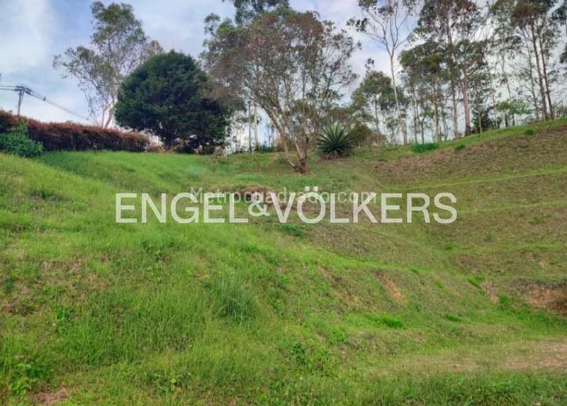 Lote en Venta, Rionegro, Rionegro - Vista 4