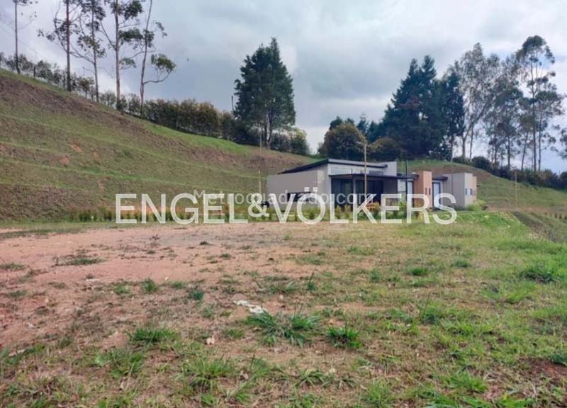 Lote en Venta, Rionegro, Rionegro - Vista 5