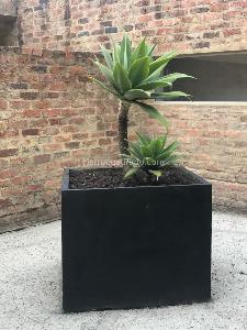 Casa de 3 alcobas en venta en Portal De Fusca, Bogotá, 400 m² · foto 12 de 20