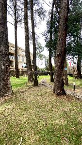 Apartamento de 4 alcobas en venta en Torreladera, Bogotá, 270 m² · foto 10 de 13