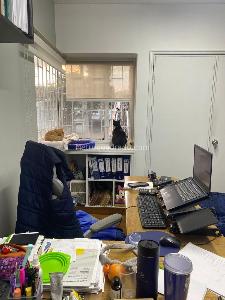 Casa de 4 alcobas en venta en Pasadena, Bogotá, 243 m² · foto 4 de 20